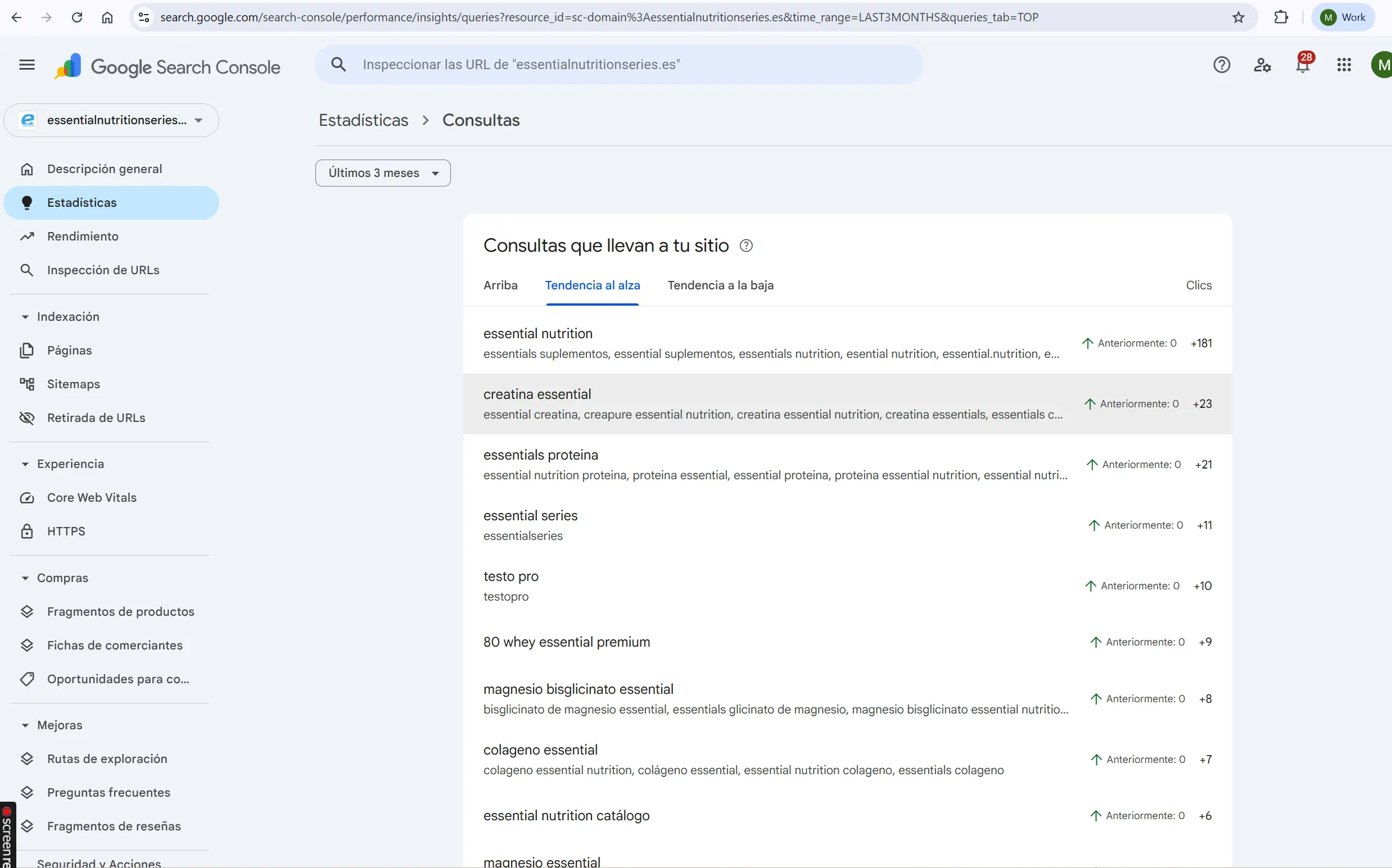 SEO resultados 1