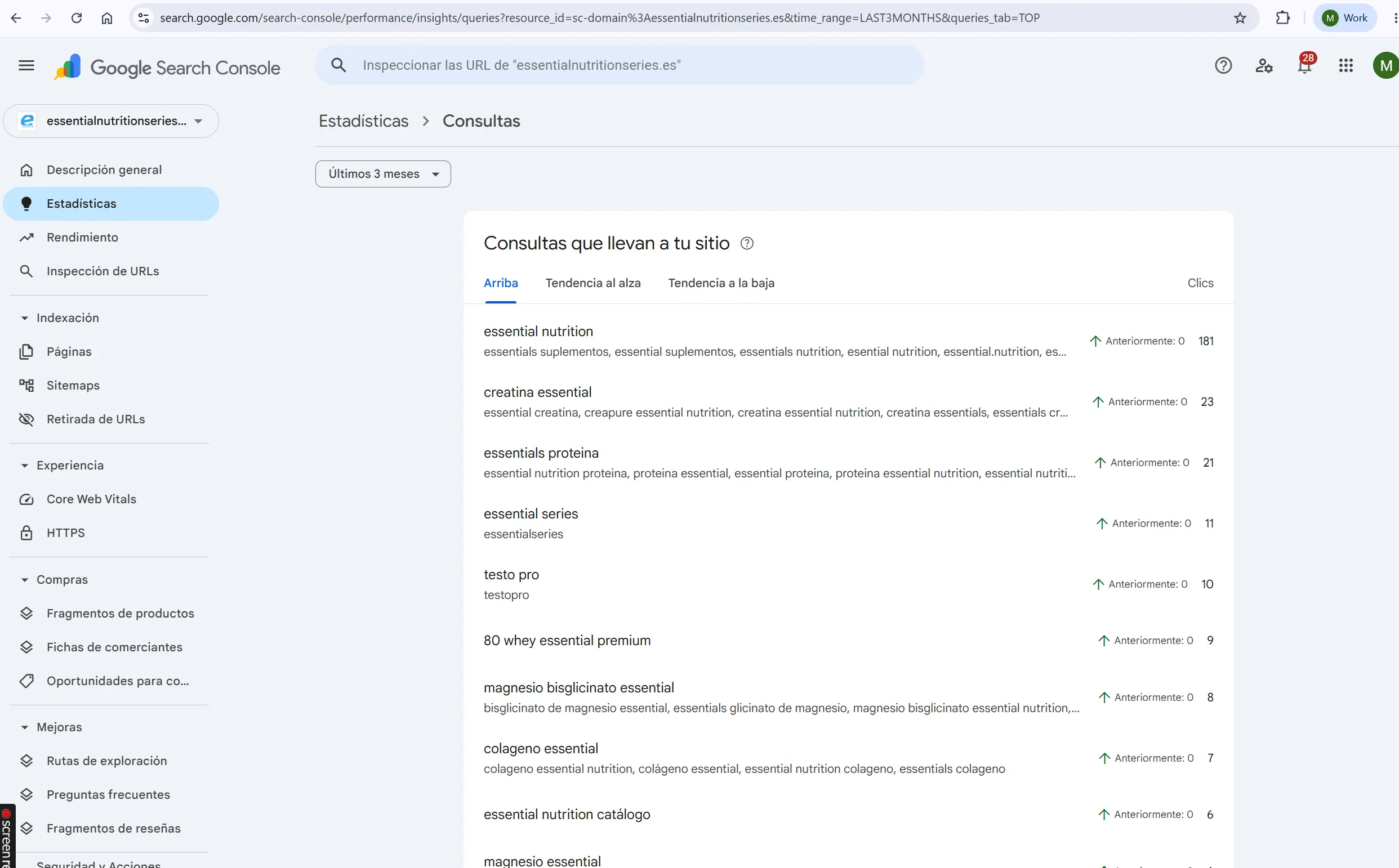 SEO resultados 3