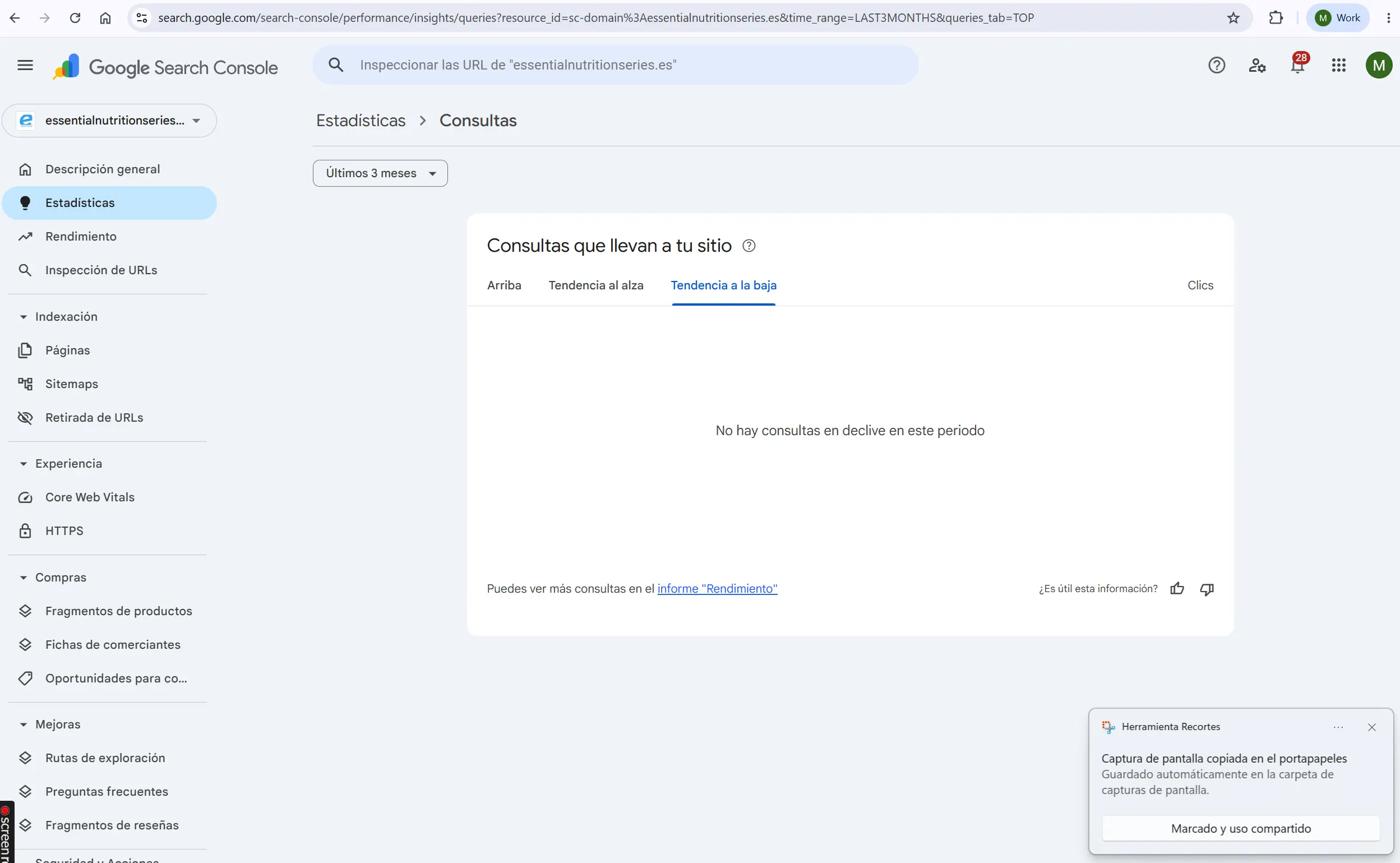 SEO resultados 4